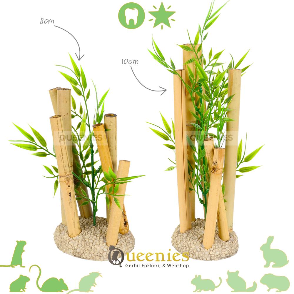 Bamboe Decoratie voor Hamsterscaping