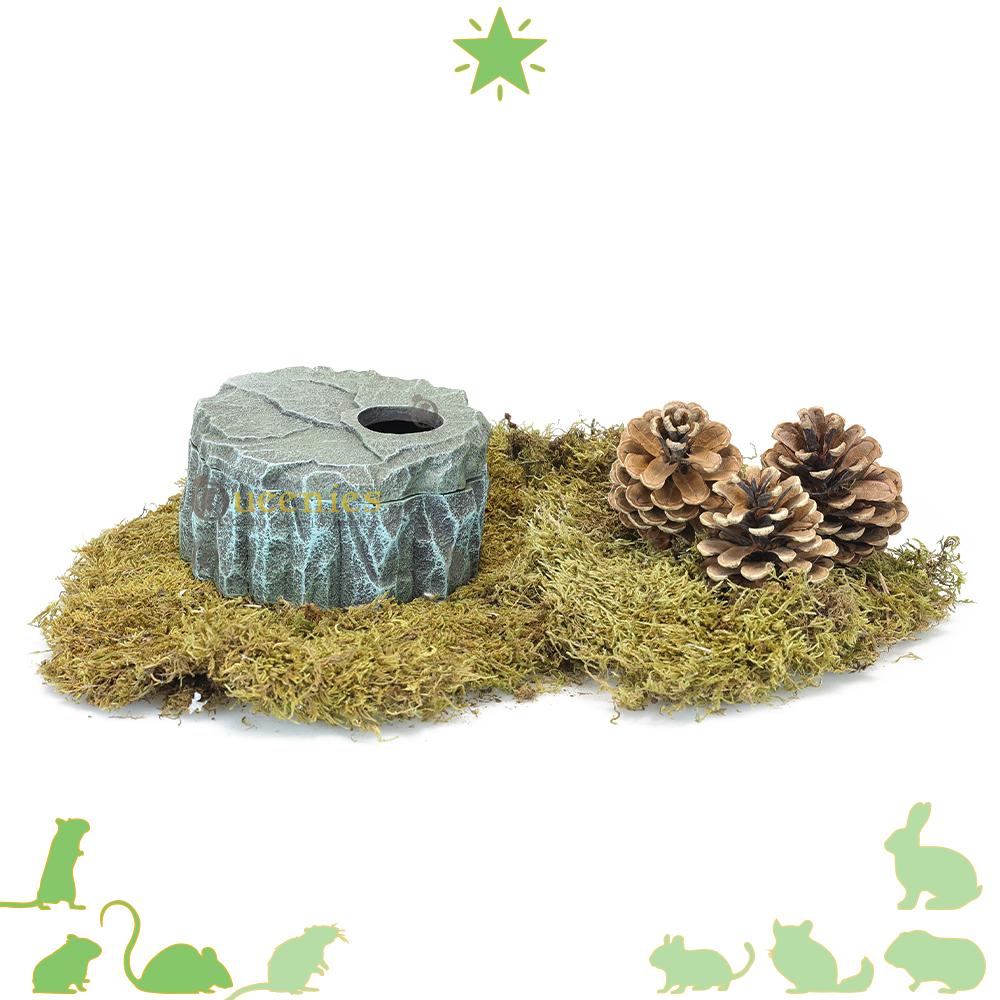 grijze rotshuis als verstopplek