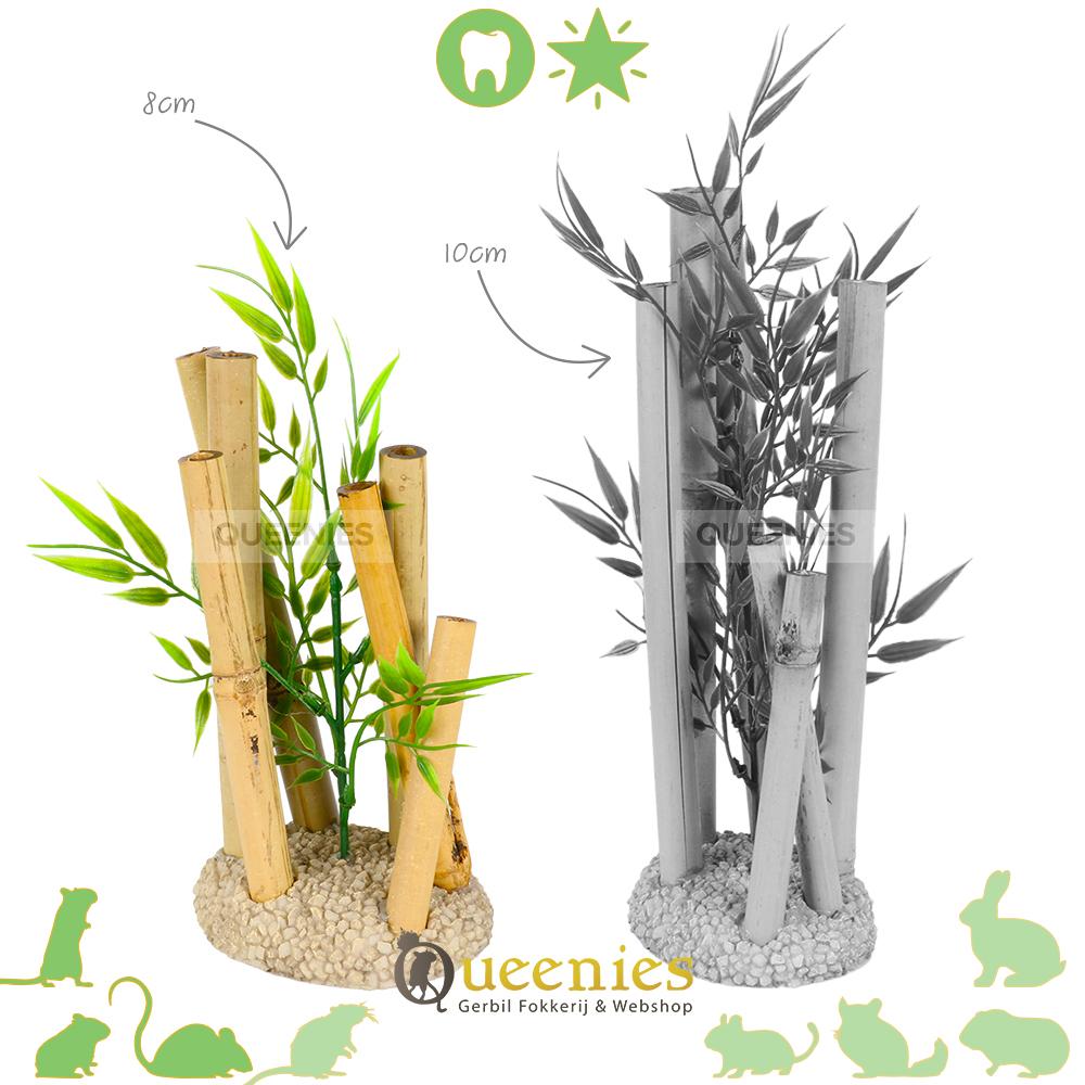 Natuurlijke inrichting Hamster Terrarium met Bamboe kunsthars