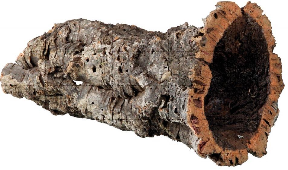 Kurktunnel hamsterscaping gerbil