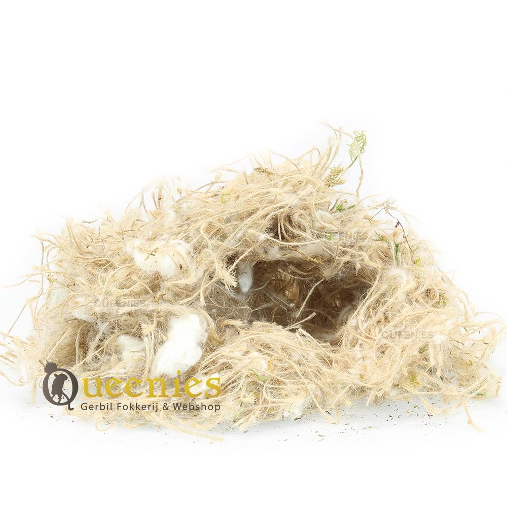 Geurvrij bodembedekking knaagdier