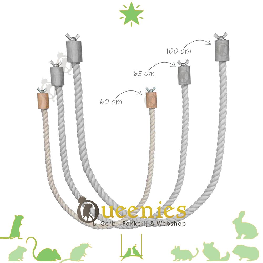 Stevig muizentouw voor bevestiging terrarium