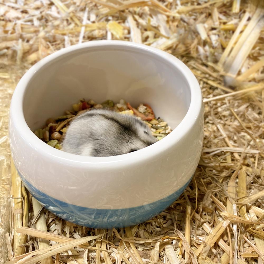 Muzieksmurf badzandschaal 15x15x10cm