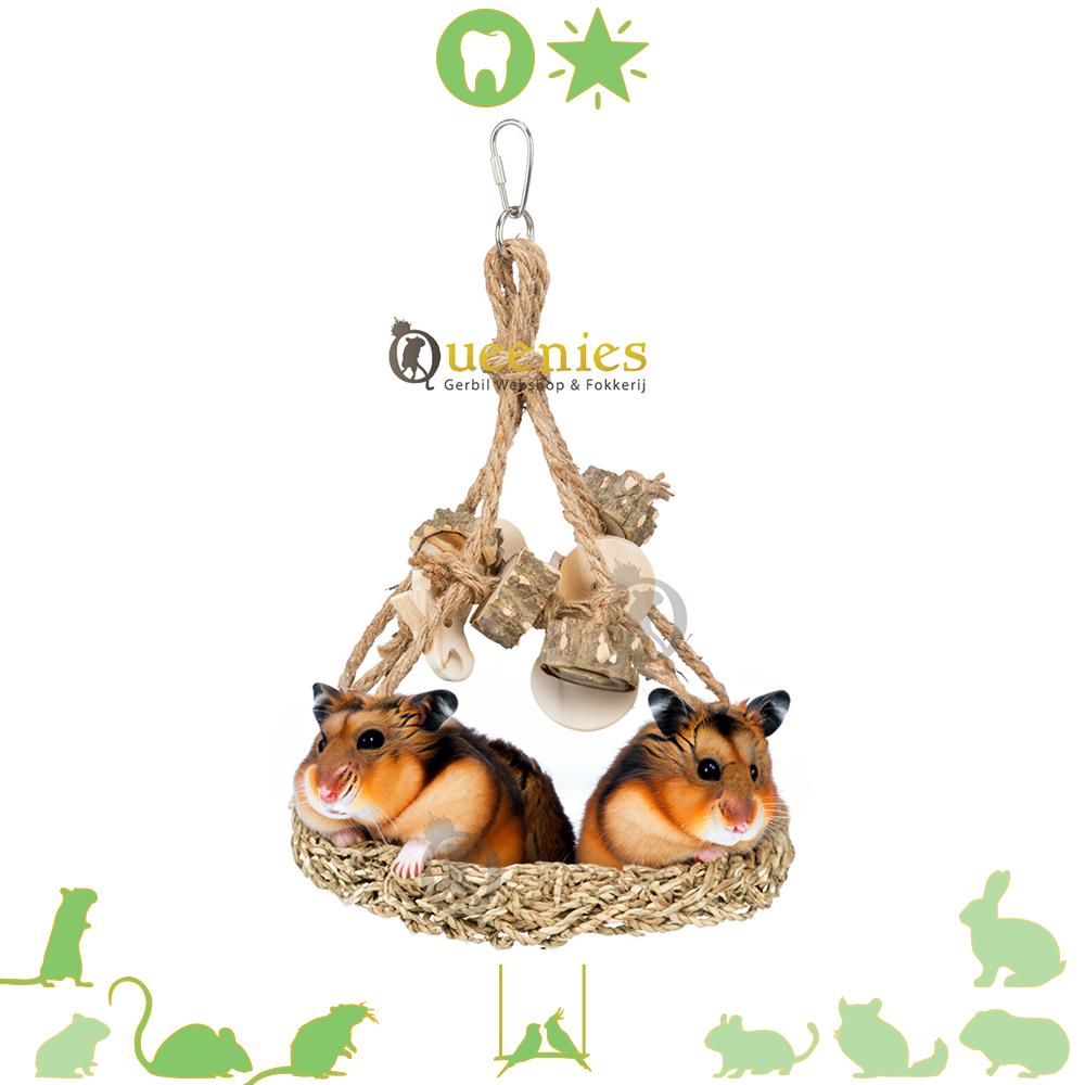 Knaagdieren speelgoed van zeegras met vlastouw voor Goudhamster