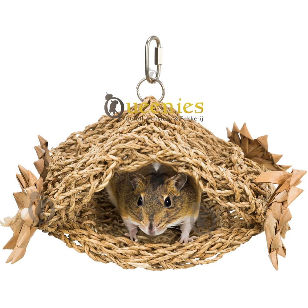 Muizen hangmat met leuke tent voor muizen