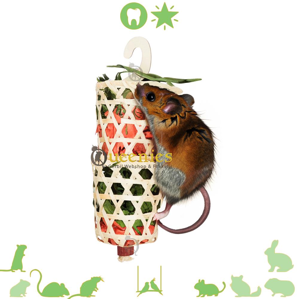 Foerageer Speelrol voor muizen