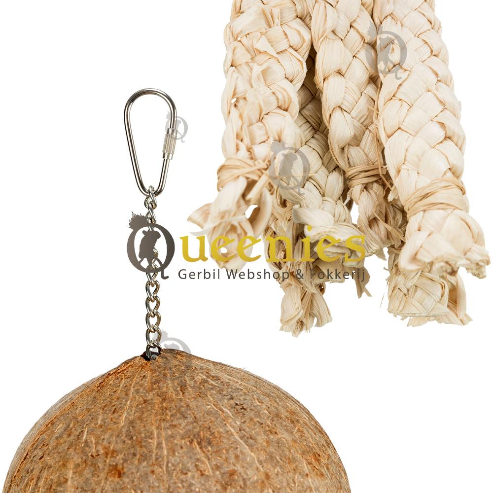 Kokosnoten voor parkieten en papegaaien