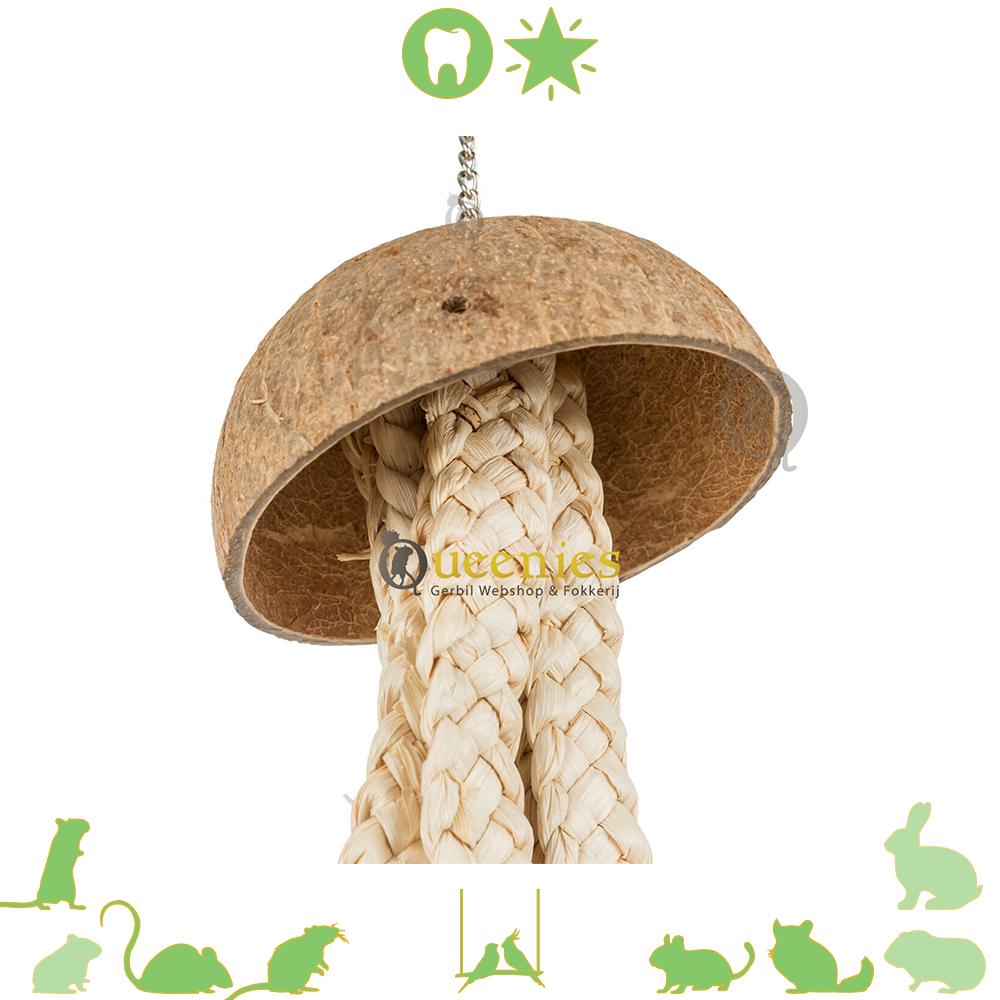 Klimspeelgoed voor Knaagdieren vogels