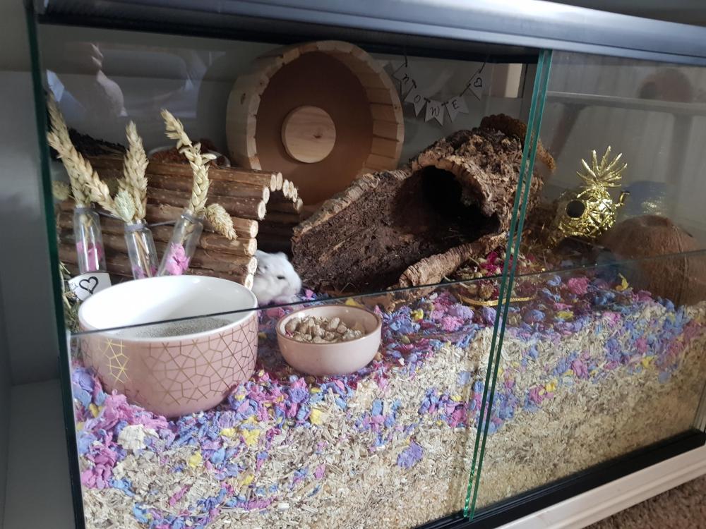 Gebruikte knaagdierkooi 60x40x40 in goede nieuwstaat