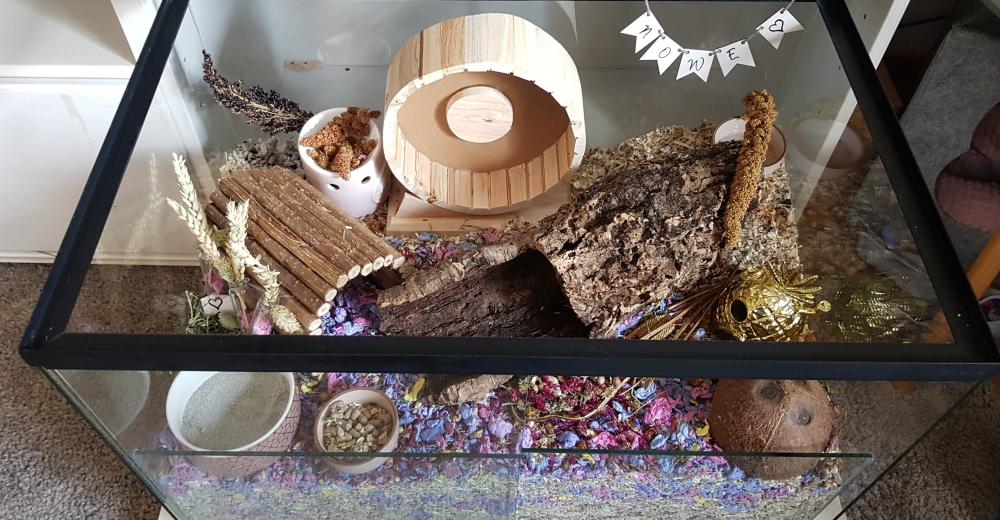 Gebruikte knaagdierkooi 75x40x50 in goede staat