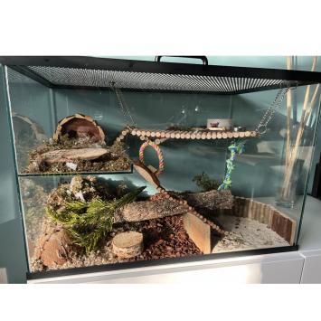 Ingerichte muizenkooi