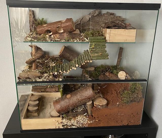 Gerbilarium 60x40x60 met hamsterscaping of landscaping