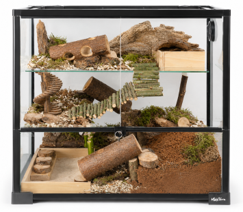 Ingericht knockdown terrarium met plataus
