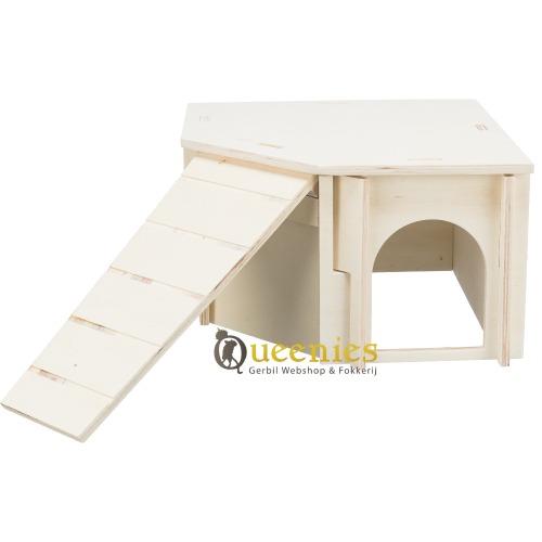 Hoekhuis met plat dak en houten ladder