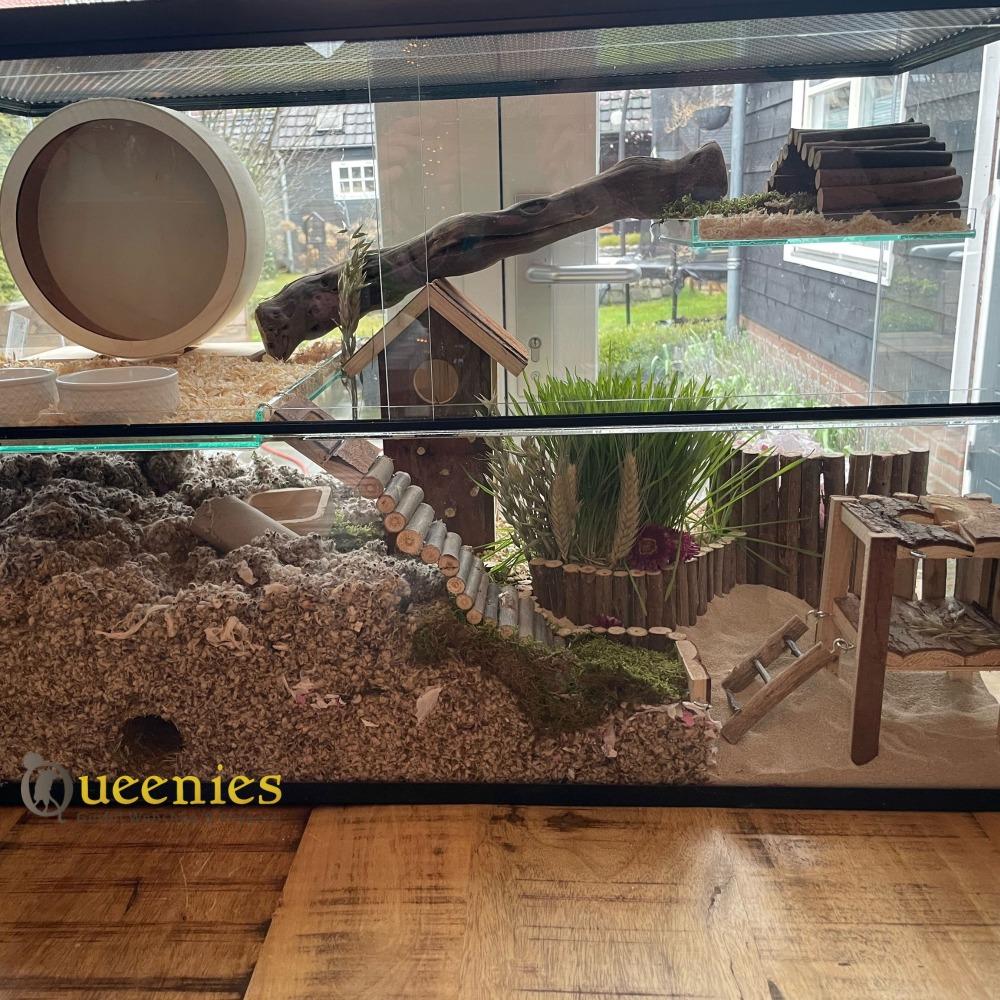 Hamsterscaping met de Birger playground