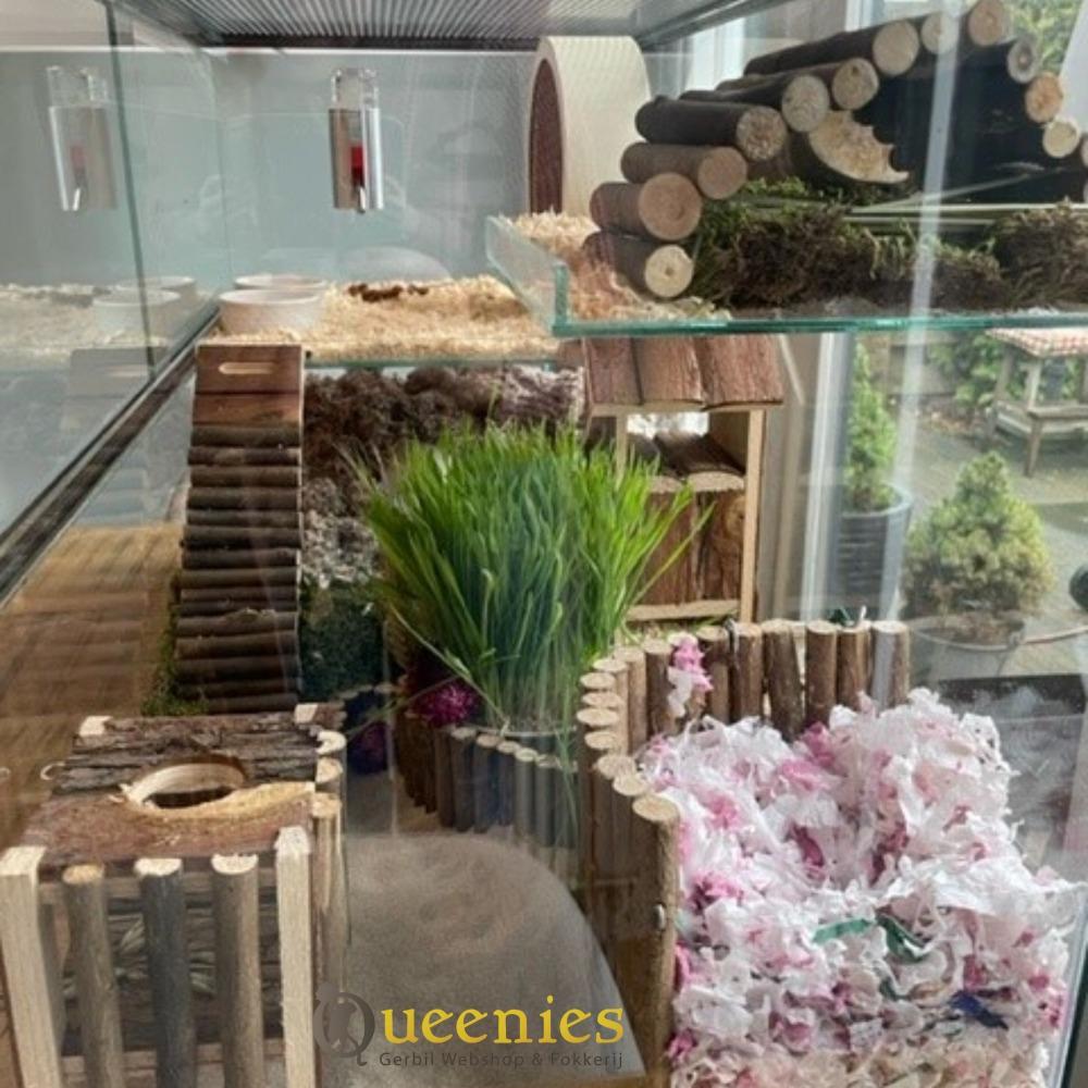 Gerbilkooi ingericht met Speelplaats van trixie