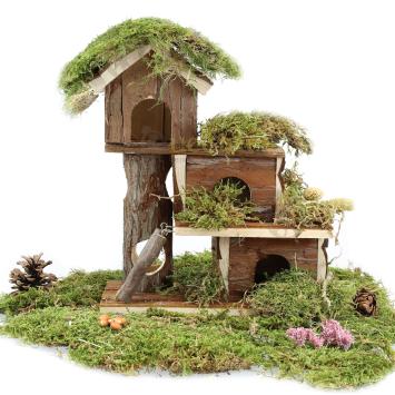 Muizenhuis bij Gerbil Queenies