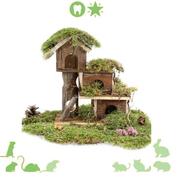 Knaagdier huisje Tammo