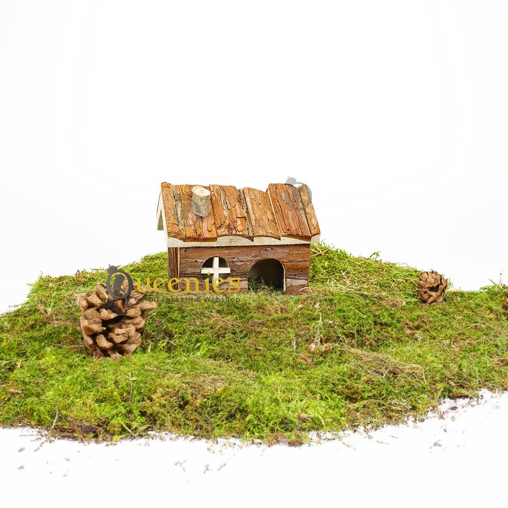 Hamsterscaping met huisje Hendrik van Trixie