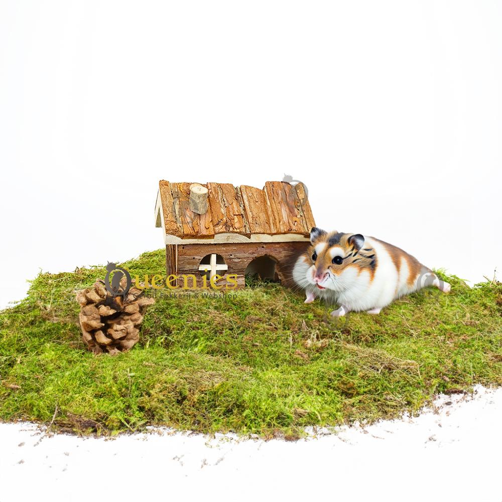 Goudhamsterhuis Hendrik 15 cm