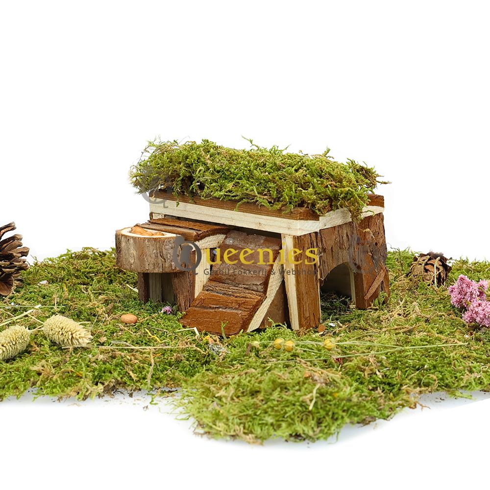 Muizenscape huis met gedroogd