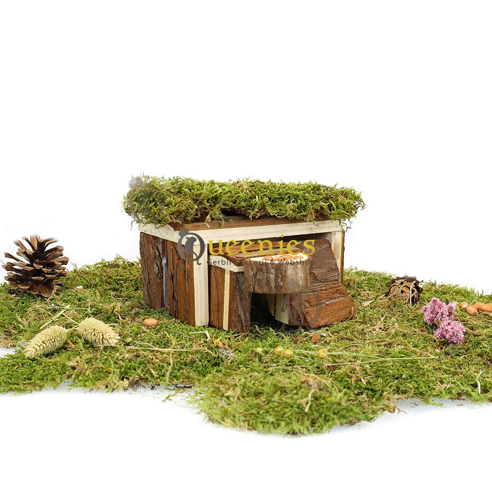 Roborovski huisje voor hamsterscape