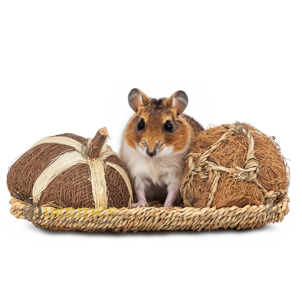 goudhamster speelgoed met kokosvezel
