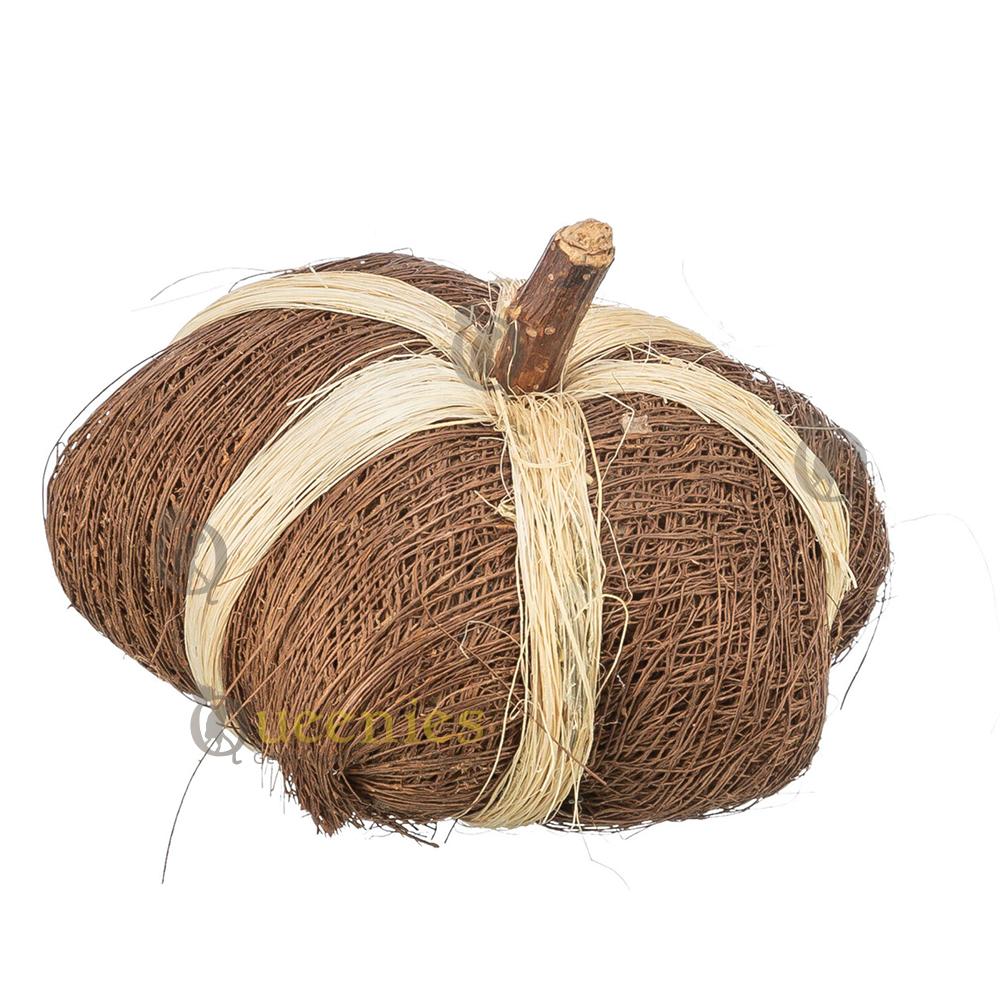 Pompoen  Kokosnoot speelgoed