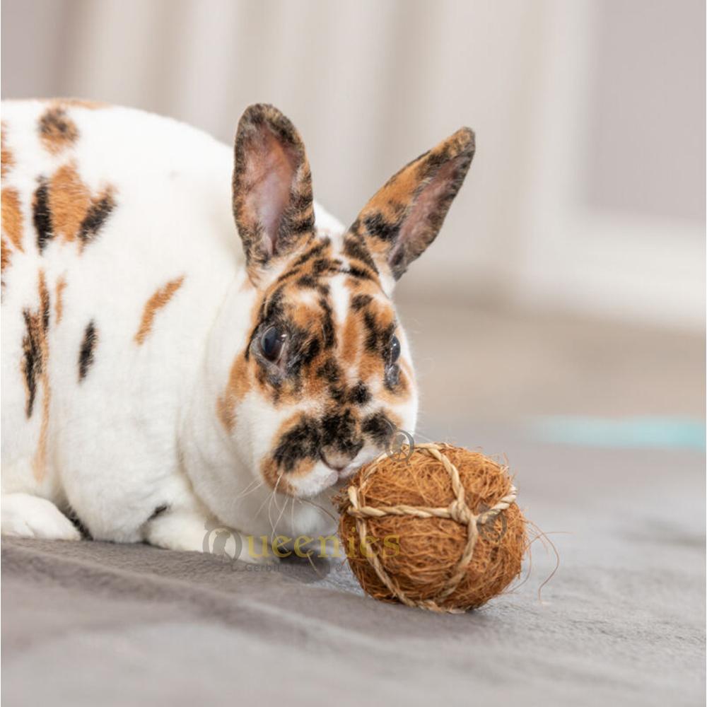 Konijnen speelgoed met kokosbal