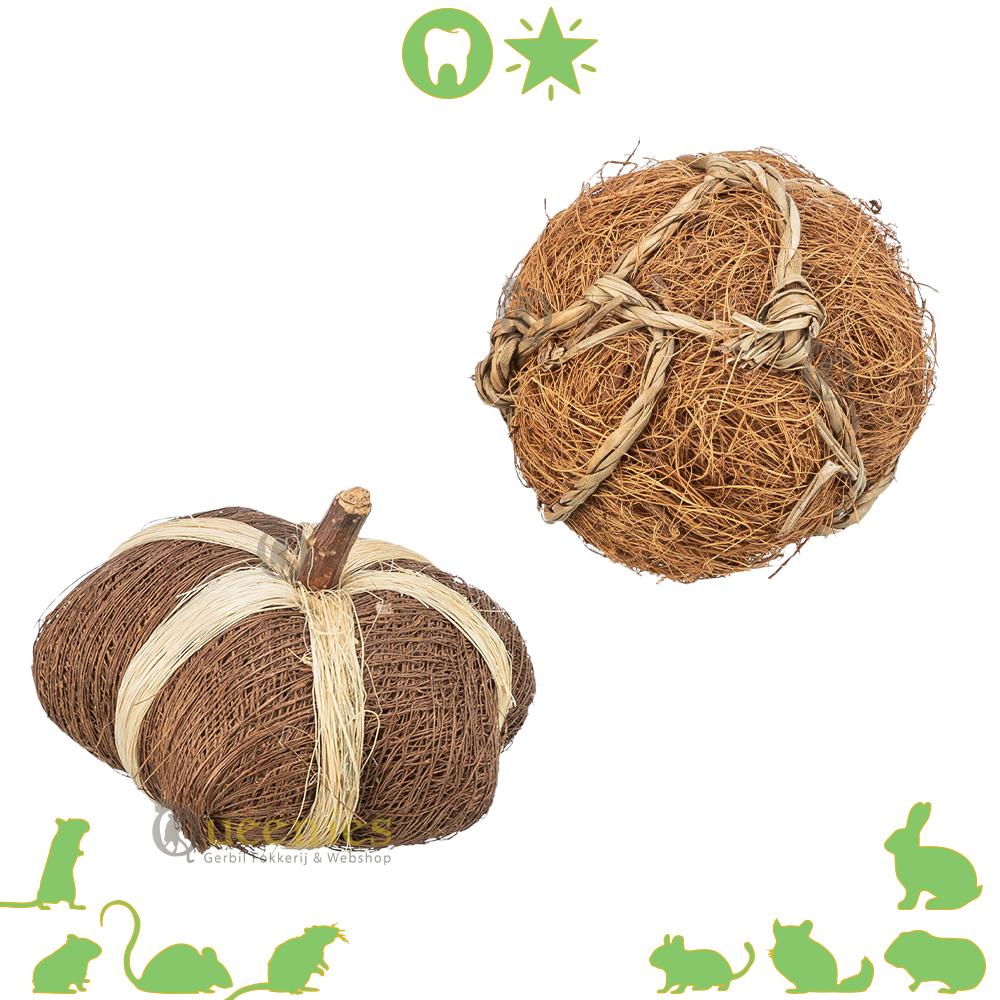 Pompoen en Kokosbal voor Knaagdieren en Konijnen