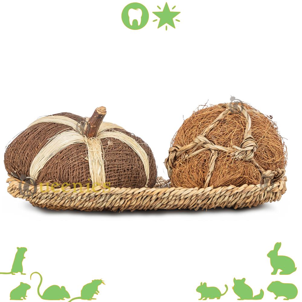 Kokos Speelgoed - Kokosnoot speeltje Pompoen en Kokosbal