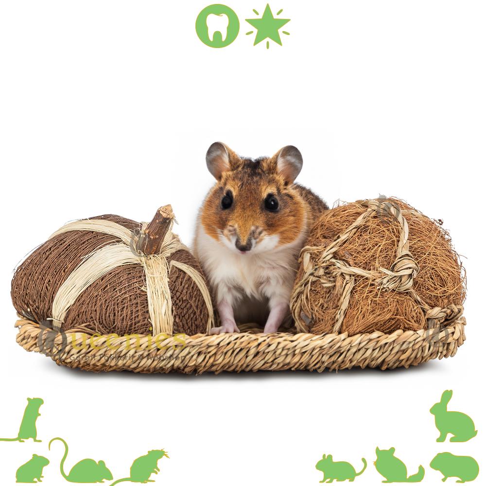 Hamster speelgoed van kokos