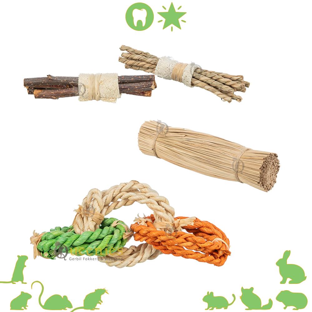 Speelgoed voor Knaagdieren