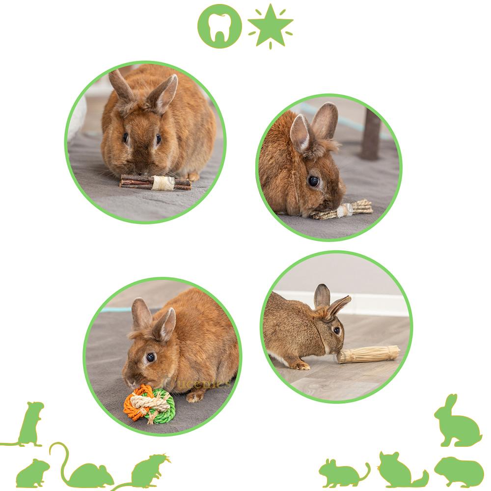 Knaagspeelgoed voor Konijnen en Knaagdieren