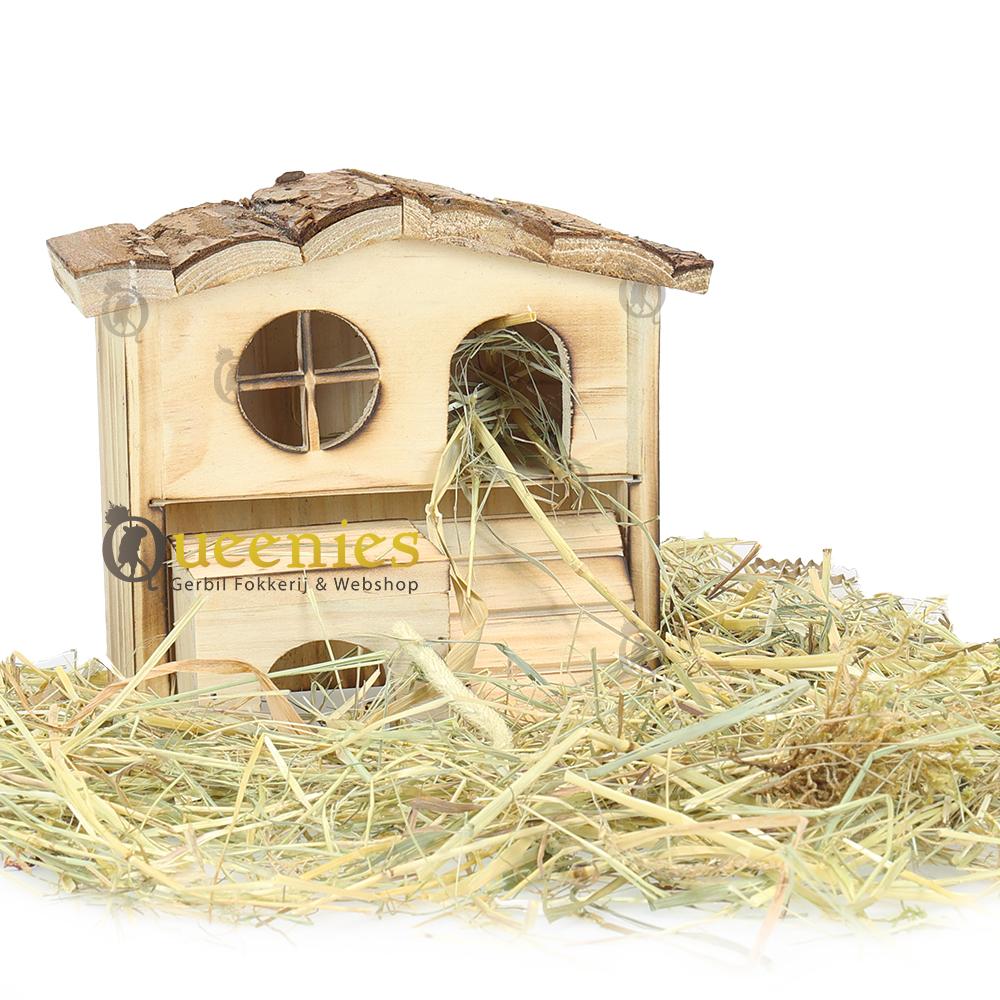 Natuurlijk hamsterhuis in hooi