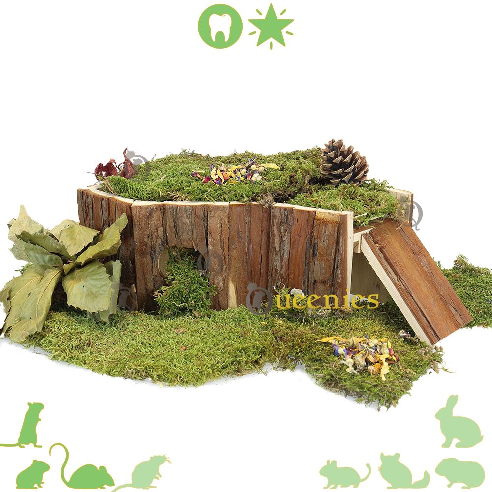 Hamster inrichting met huisje Hedvig