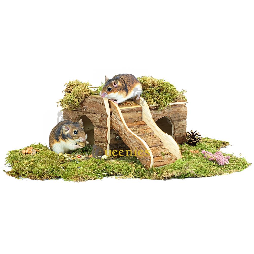 Muizenhuis Ineke met hellingbaan