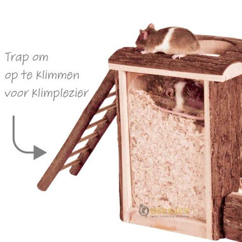 Trap voor kleine knaagdieren aan de diggy graaftoren