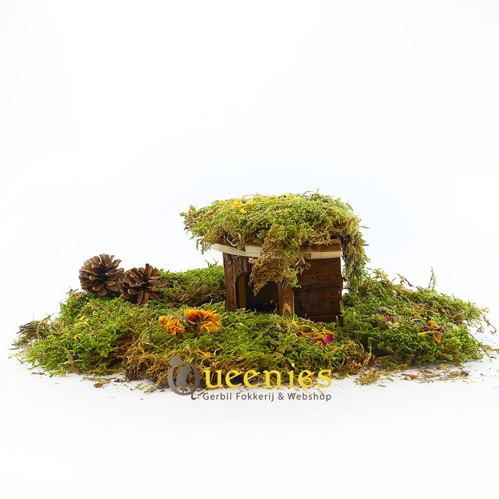 Hoekhuis Jesper voor hamsters