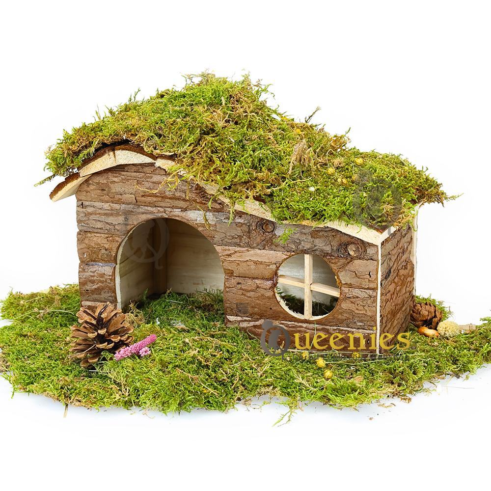 Achterkant knaagdierenhuis voor Gerbils en hamsters