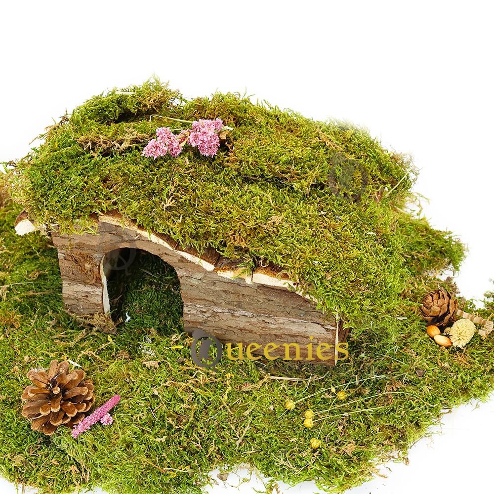 Roborovski hamsterhuis voor Hamsterscaping van hout