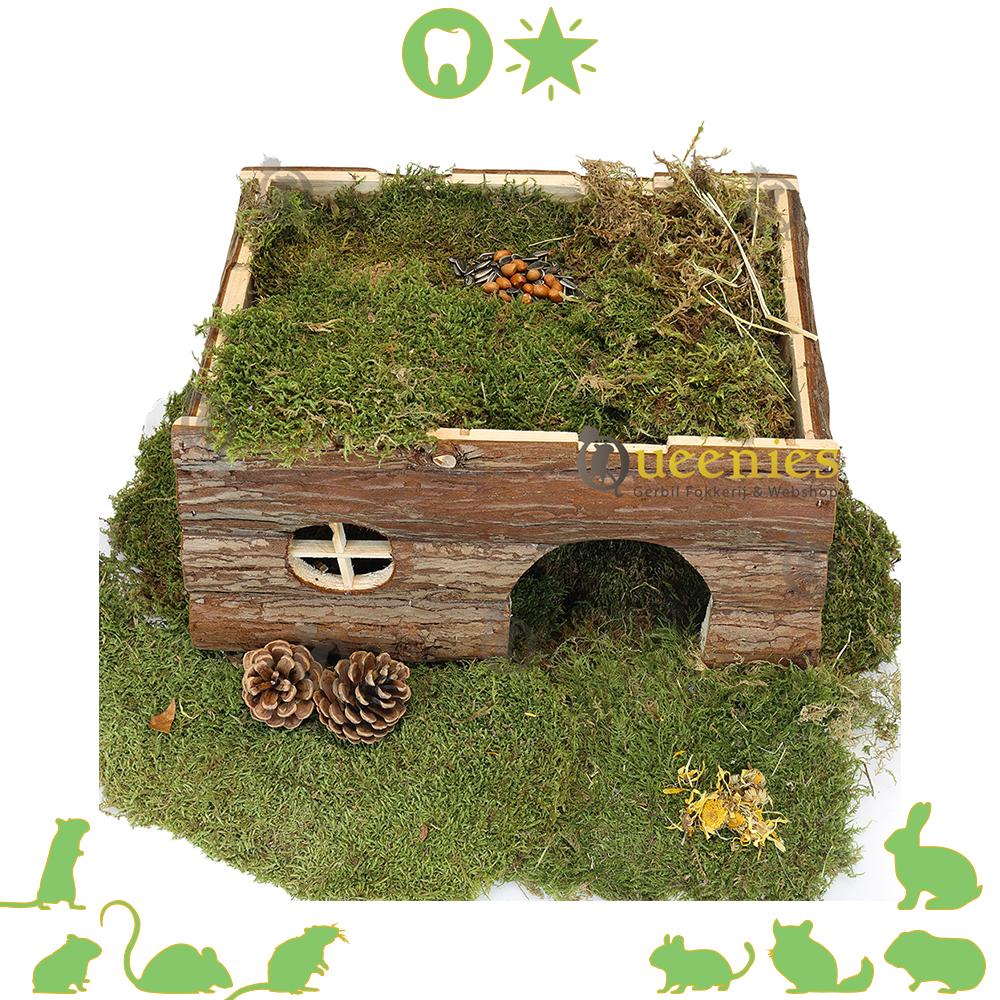 Chinchilla huis Tilde voor knaagdier