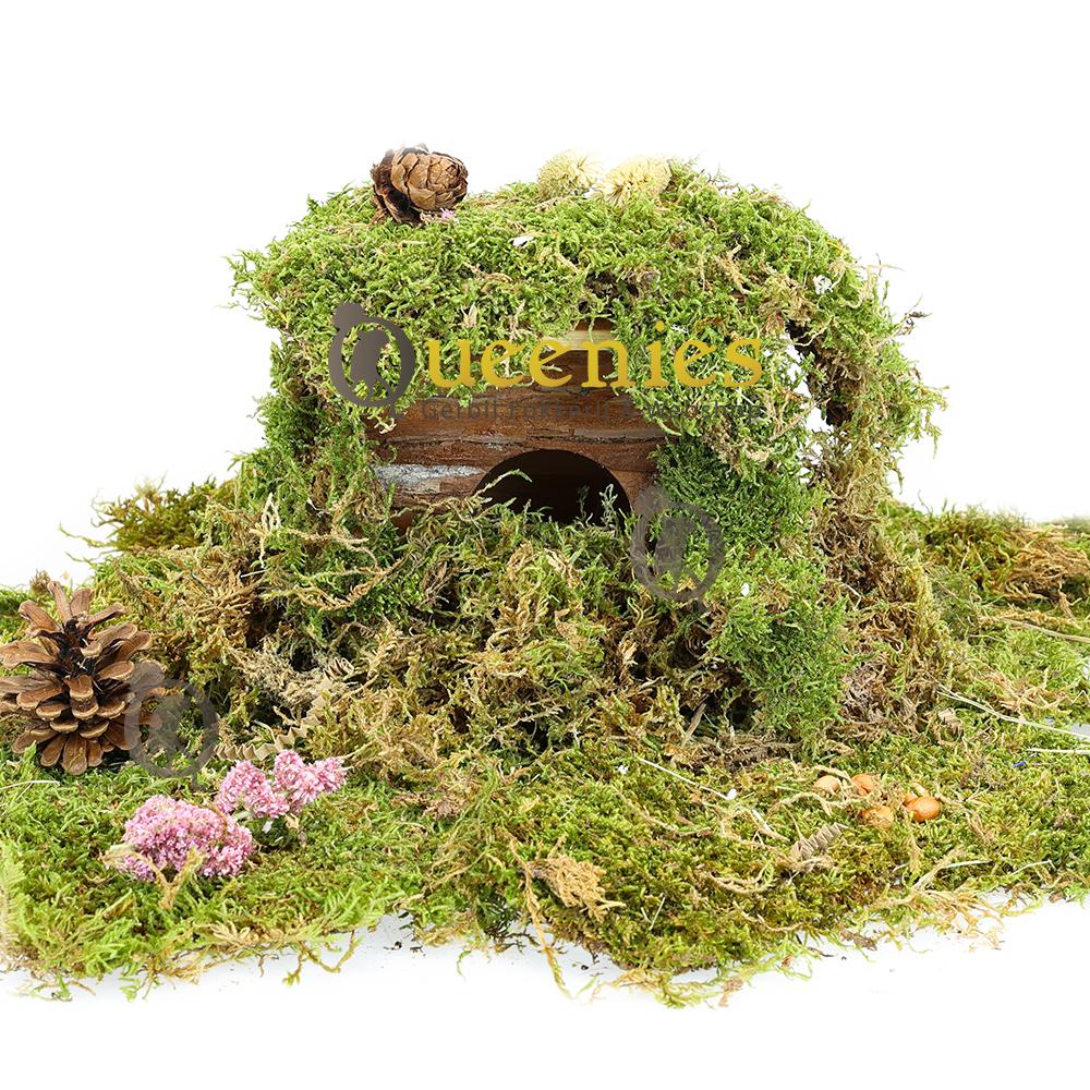 Knaagdieren huisje Jerrik Trixie klein