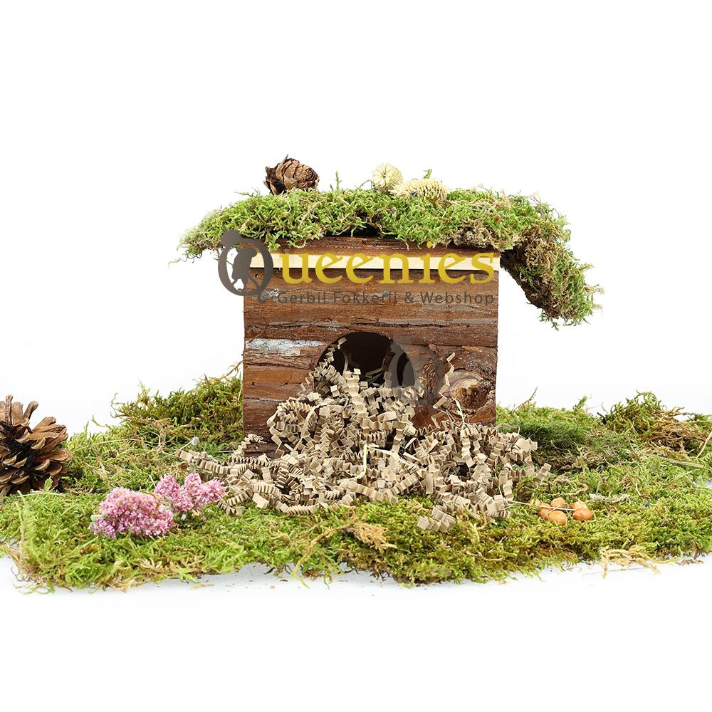 Knaagdieren huisje met plat dak Jerrik