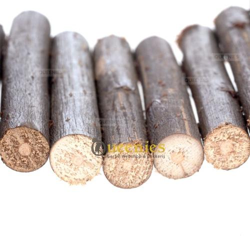 Ladder en trap voor hamster