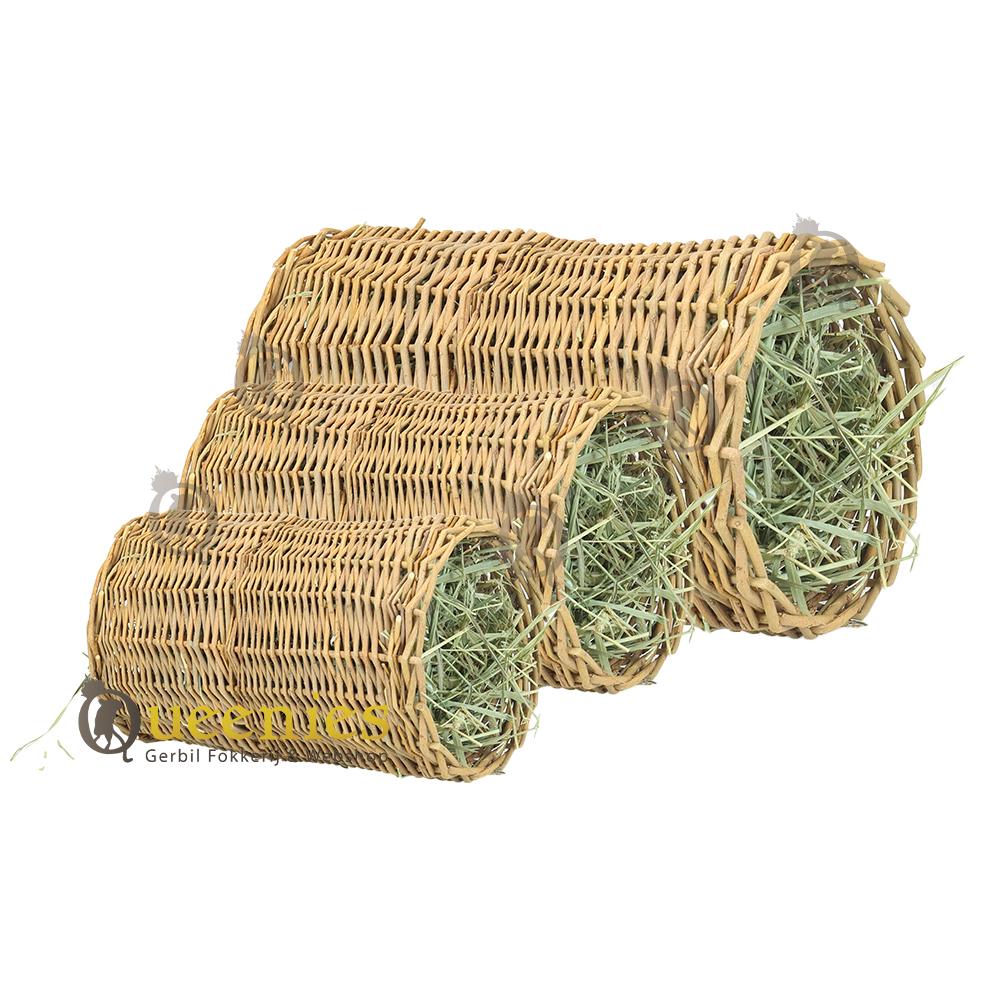 Wilgentunnel met Timothy hooi