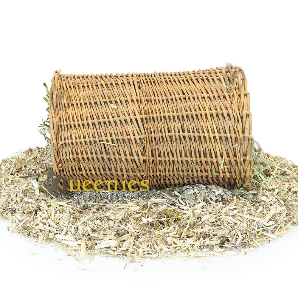 Wilgentunnel met Timothy hooi