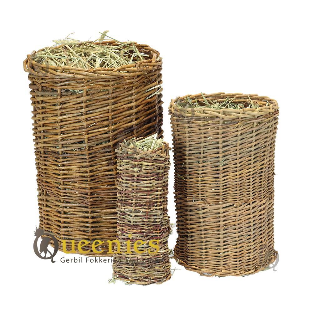 Wilgentunnel met Timothy hooi