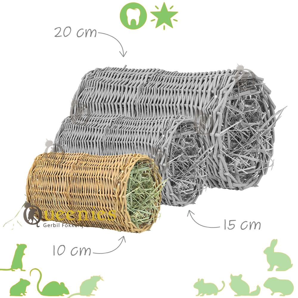 Wilgentunnel voor Degoes