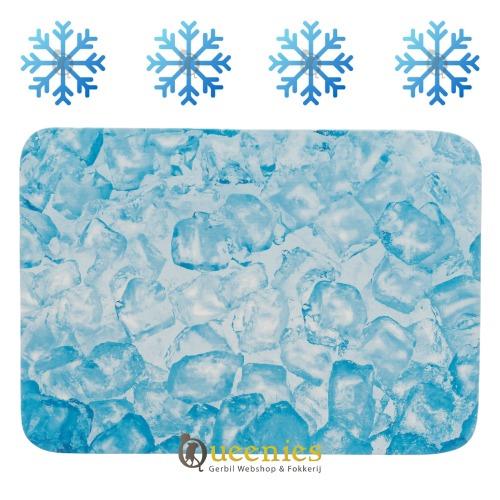 Koelplaat van Keramiek